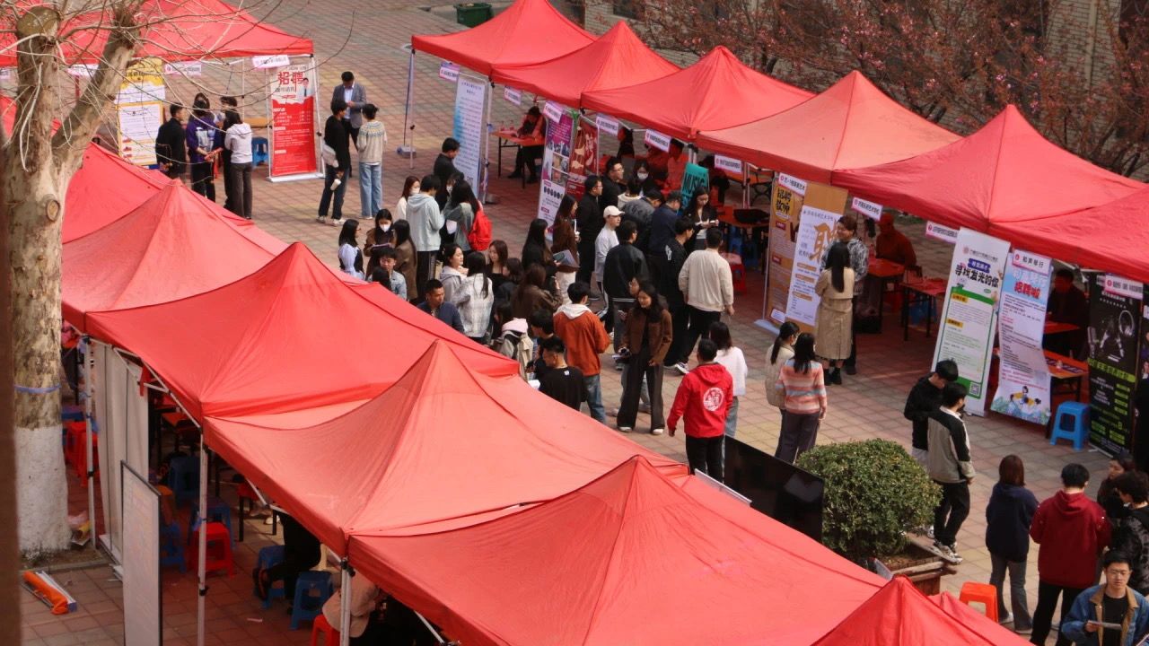 青鸟腾飞职音有你济南大学音乐学院成功举办2024届毕业生专场招聘会